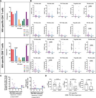 T-Follicular-Like CD8+ T Cell Responses in Chronic HIV Infection Are Associated With Virus Control and Antibody Isotype Switching to IgG